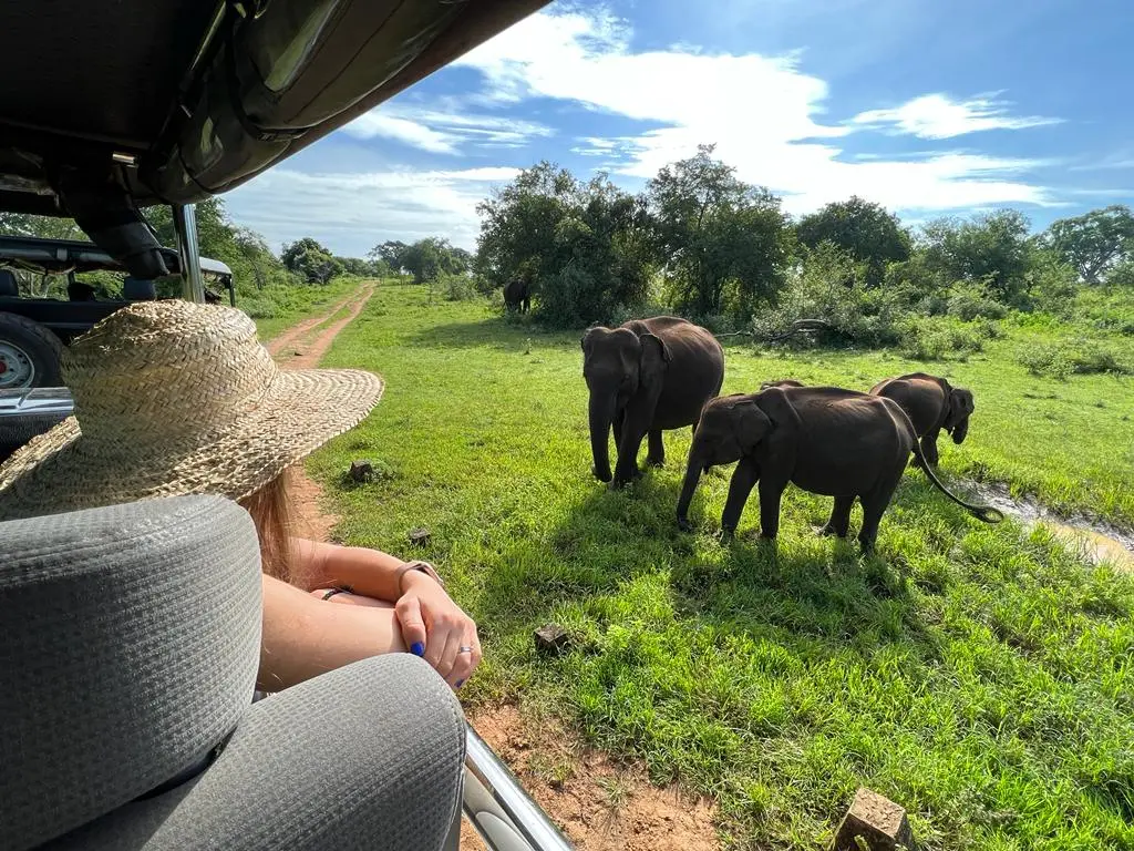 Sri Lanka Safari